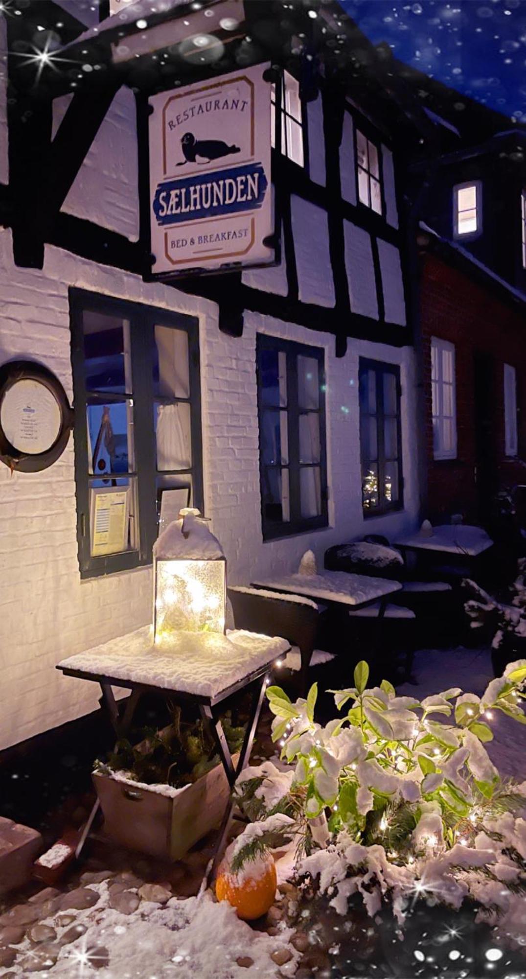 Bed and Breakfast Restaurant Saelhunden Рибе Экстерьер фото